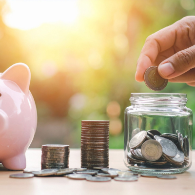 Depository Participant (DP)